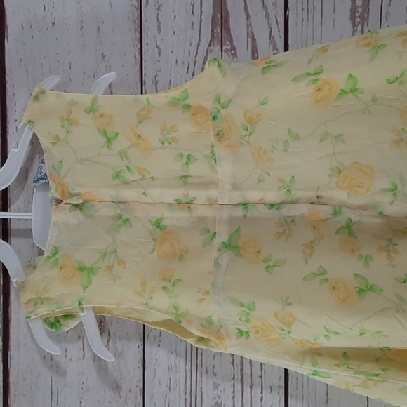 Little Lindsay Sheer Dress - Picture 5 of 8